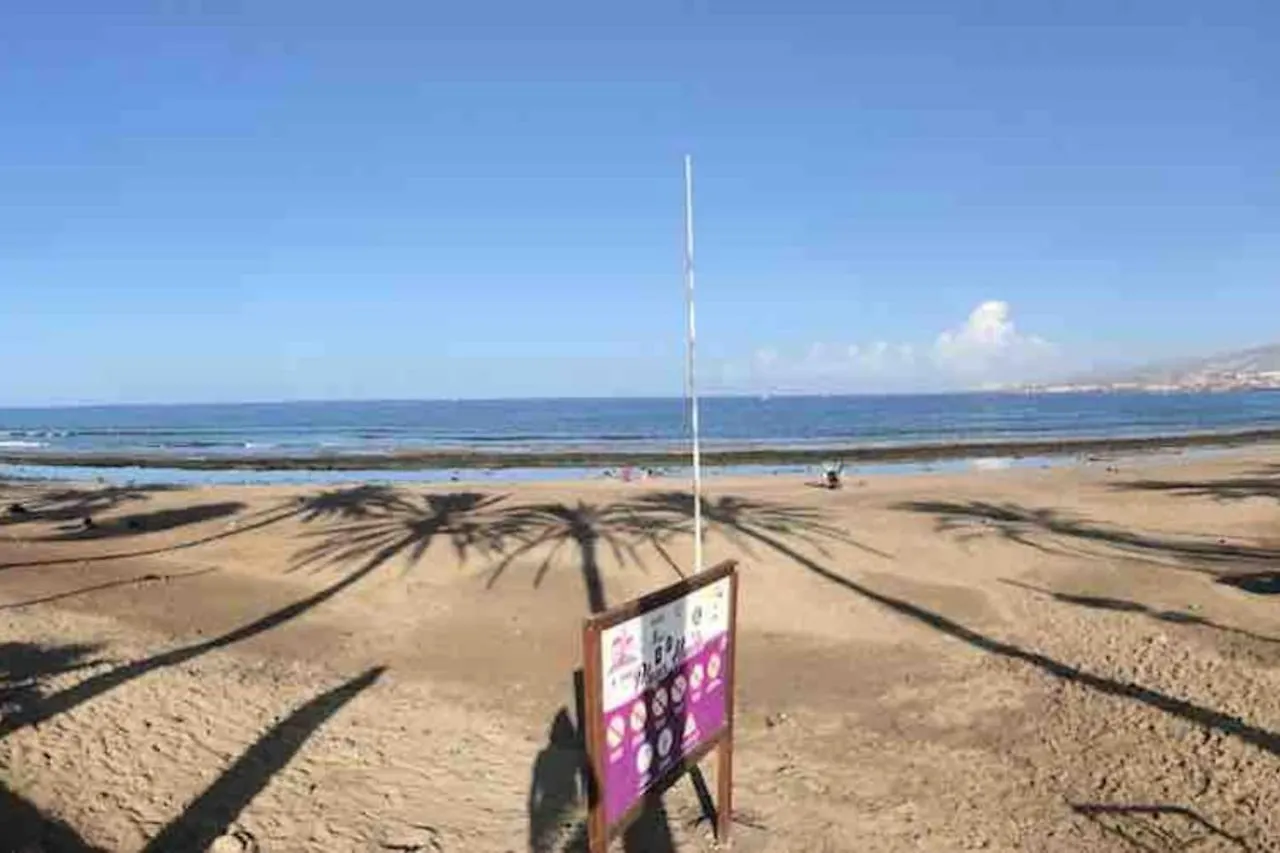 Auberge de jeunesse Surf House La Machacona à San Isidro   San Isidro (Tenerife)